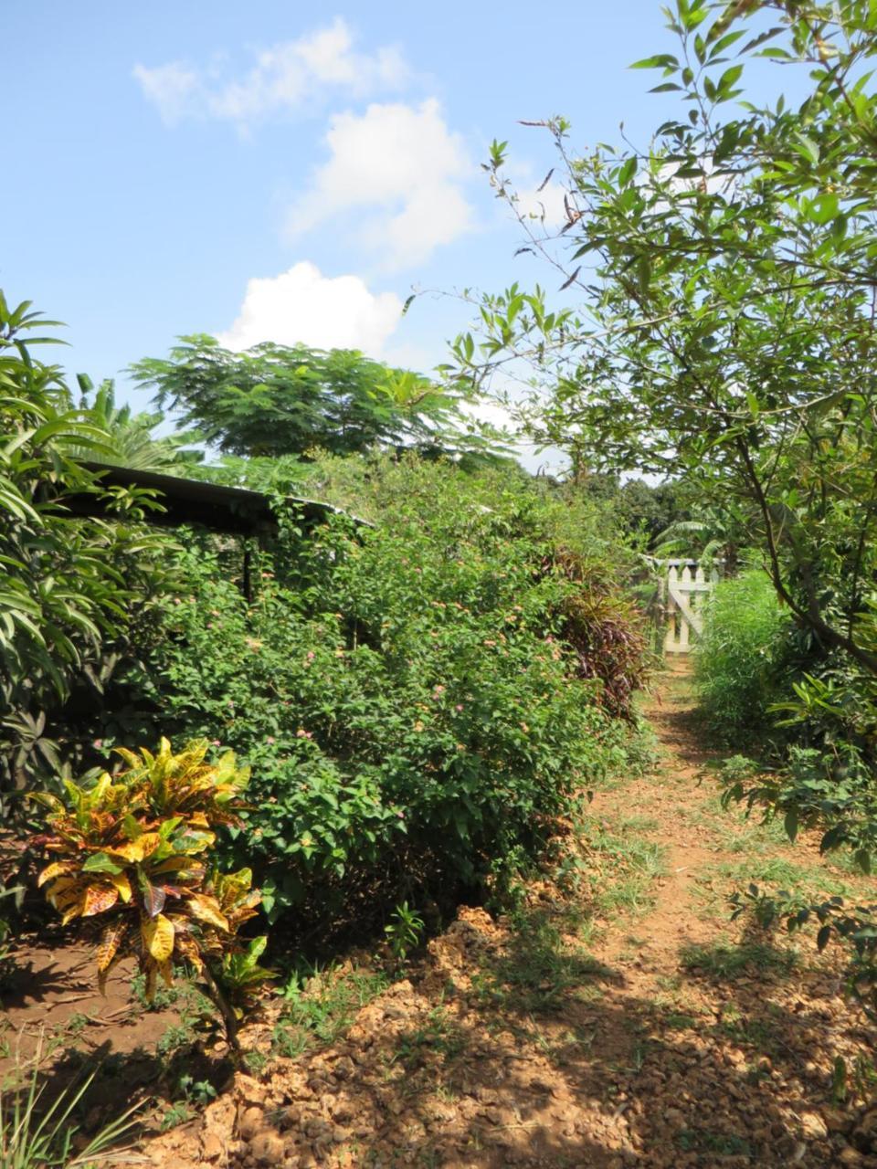 Bahati Diani House Glamping Diani Beach Ngoại thất bức ảnh