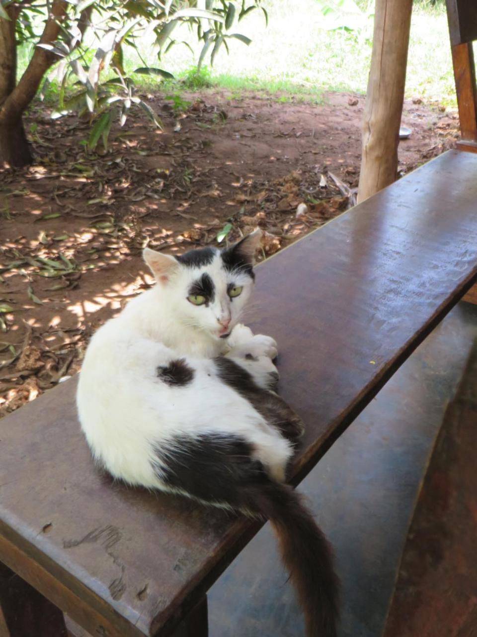 Bahati Diani House Glamping Diani Beach Ngoại thất bức ảnh