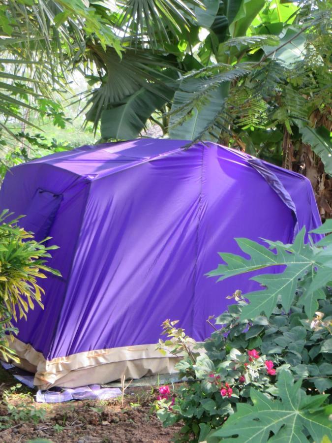 Bahati Diani House Glamping Diani Beach Ngoại thất bức ảnh